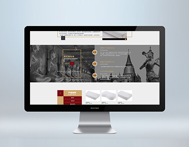 网站设计公司案例--金拉提网站设计
